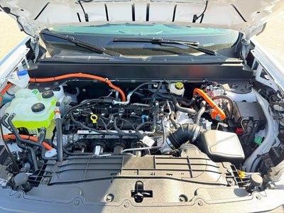 2026 Ford Maverick Lariat®