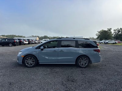 2025 Honda Odyssey Touring