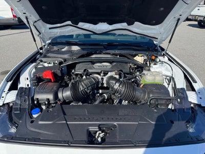 2026 Ford Mustang Dark Horse