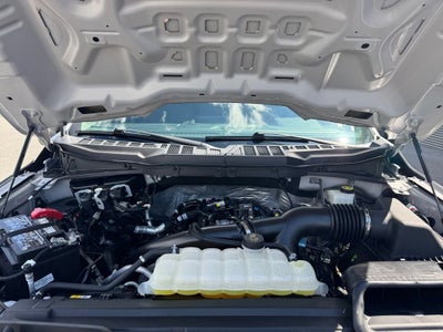 2024 Ford F-150 XL