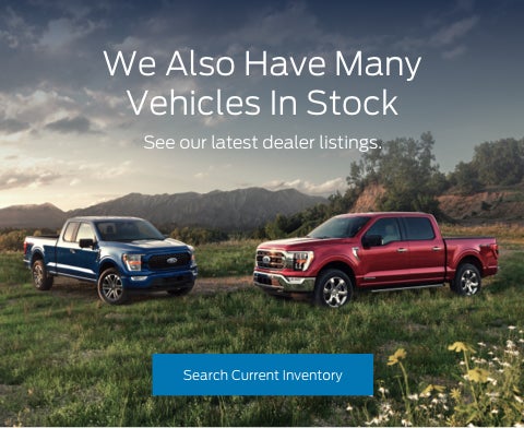 Ford vehicles in stock | Murray Ford of Kingsland, Inc. in Kingsland GA