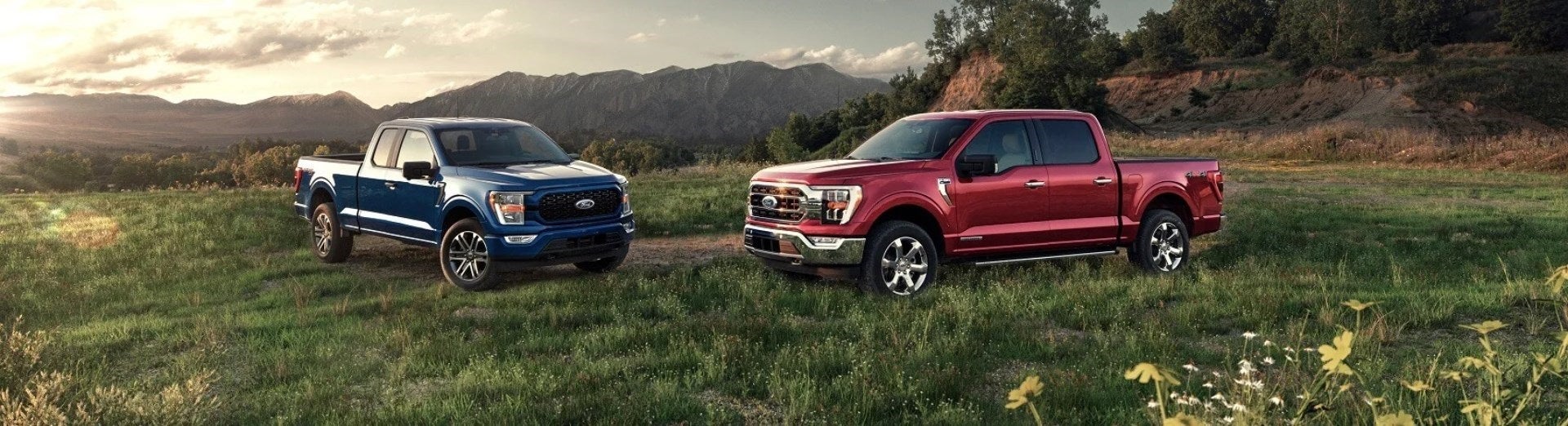 Two Ford F-150 trucks parks in an open field